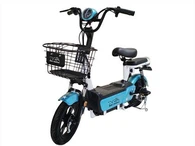 350 Motor Verwijderbare Batterij Box EBike