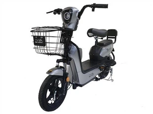 Elektrische fiets lange afstand 80KM