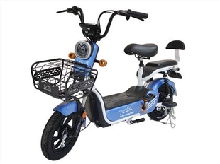 Elektrische fiets met alarm tubeless band