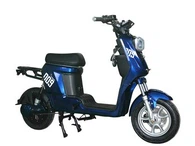 Fast Food Afhaalbezorging Elektrische Fiets