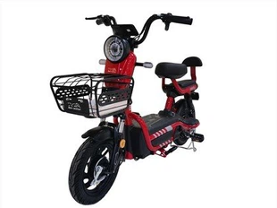 Lichte elektrische fiets betaalbaar