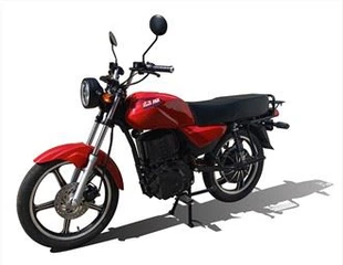 Elektriciteit straatmotor voor volwassenen 1500W